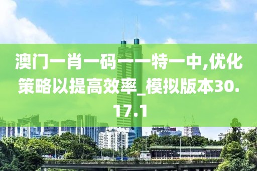 澳门一肖一码一一特一中,优化策略以提高效率_模拟版本30.17.1