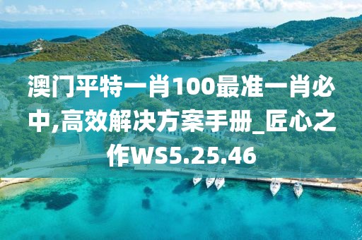 澳门平特一肖100最准一肖必中,高效解决方案手册_匠心之作WS5.25.46