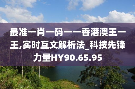 最准一肖一码一一香港澳王一王,实时互文解析法_科技先锋力量HY90.65.95