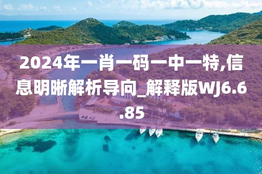 2024年一肖一码一中一特,信息明晰解析导向_解释版WJ6.6.85