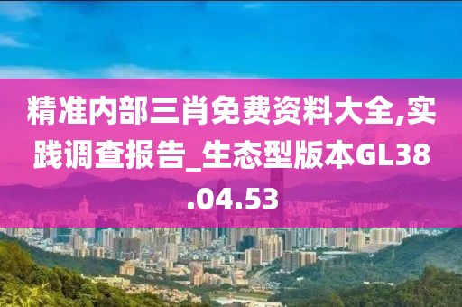 精准内部三肖免费资料大全,实践调查报告_生态型版本GL38.04.53