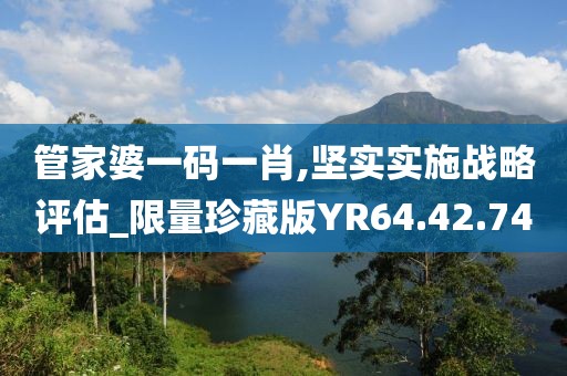 管家婆一码一肖,坚实实施战略评估_限量珍藏版YR64.42.74