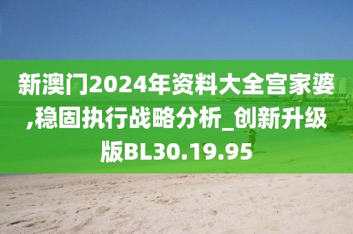新澳门2024年资料大全宫家婆,稳固执行战略分析_创新升级版BL30.19.95