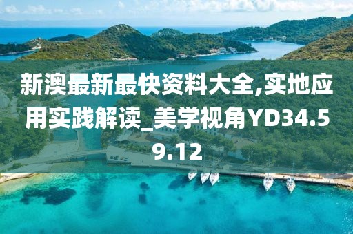 新澳最新最快资料大全,实地应用实践解读_美学视角YD34.59.12