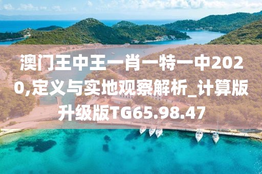 澳门王中王一肖一特一中2020,定义与实地观察解析_计算版升级版TG65.98.47