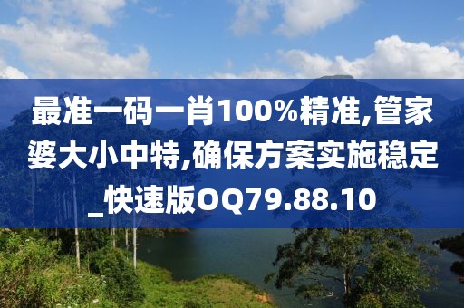 最准一码一肖100%精准,管家婆大小中特,确保方案实施稳定_快速版OQ79.88.10