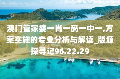 澳门管家婆一肖一码一中一,方案实施的专业分析与解读_版源探寻记96.22.29