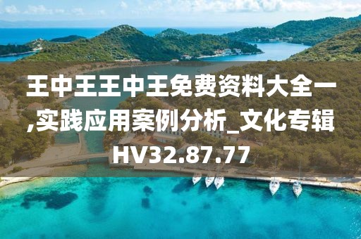 王中王王中王免费资料大全一,实践应用案例分析_文化专辑HV32.87.77