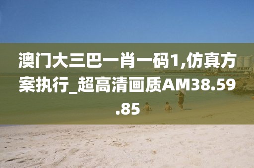 澳门大三巴一肖一码1,仿真方案执行_超高清画质AM38.59.85