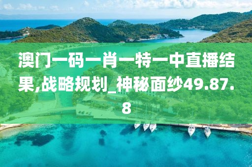 澳门一码一肖一特一中直播结果,战略规划_神秘面纱49.87.8