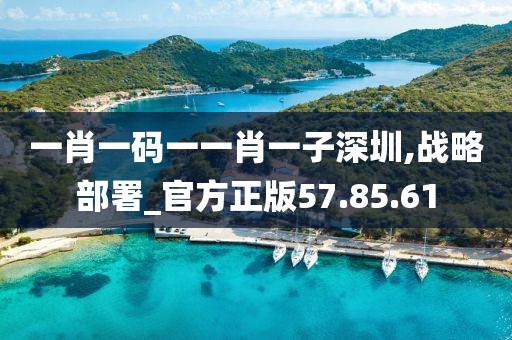 一肖一码一一肖一子深圳,战略部署_官方正版57.85.61