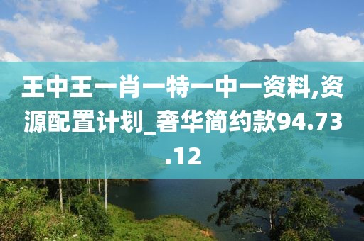 王中王一肖一特一中一资料,资源配置计划_奢华简约款94.73.12
