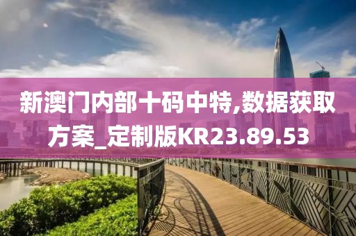 新澳门内部十码中特,数据获取方案_定制版KR23.89.53