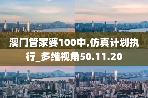 澳门管家婆100中,仿真计划执行_多维视角50.11.20