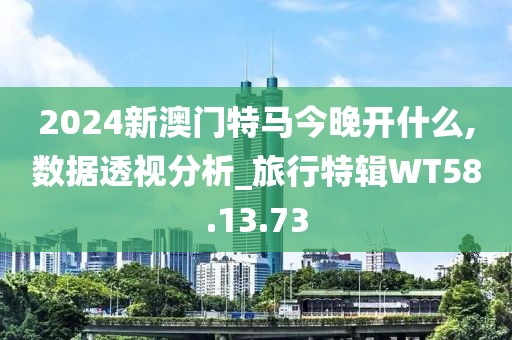 2024新澳门特马今晚开什么,数据透视分析_旅行特辑WT58.13.73