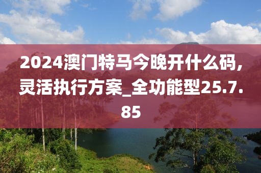 2024澳门特马今晚开什么码,灵活执行方案_全功能型25.7.85
