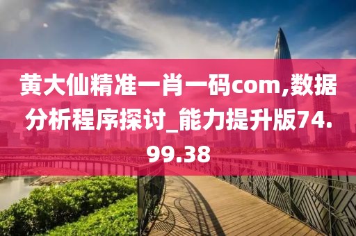 黄大仙精准一肖一码com,数据分析程序探讨_能力提升版74.99.38