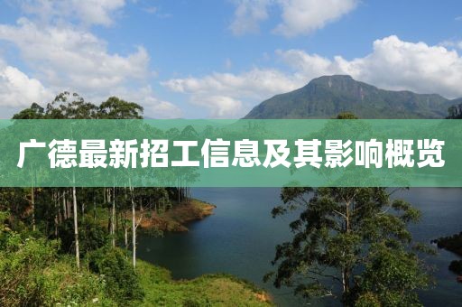 广德最新招工信息及其影响概览