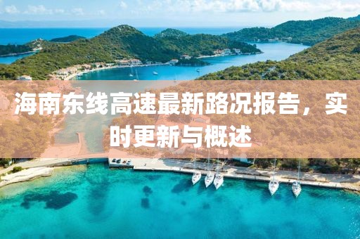 海南东线高速最新路况报告，实时更新与概述
