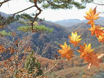 好客山东最新宣传片，展现魅力山东
