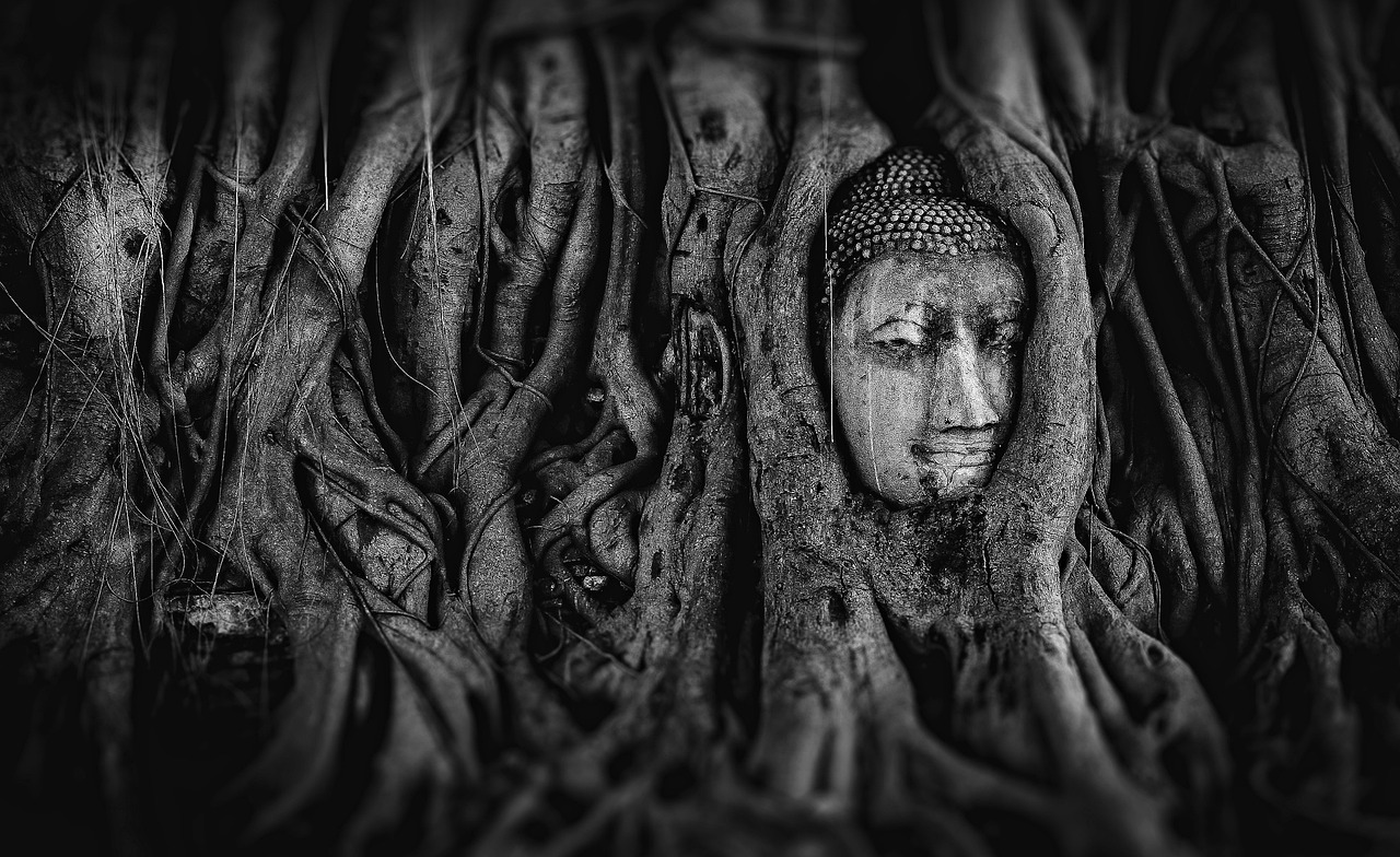 亘古大帝最新阅读目录，神秘世界奇幻之旅的揭秘