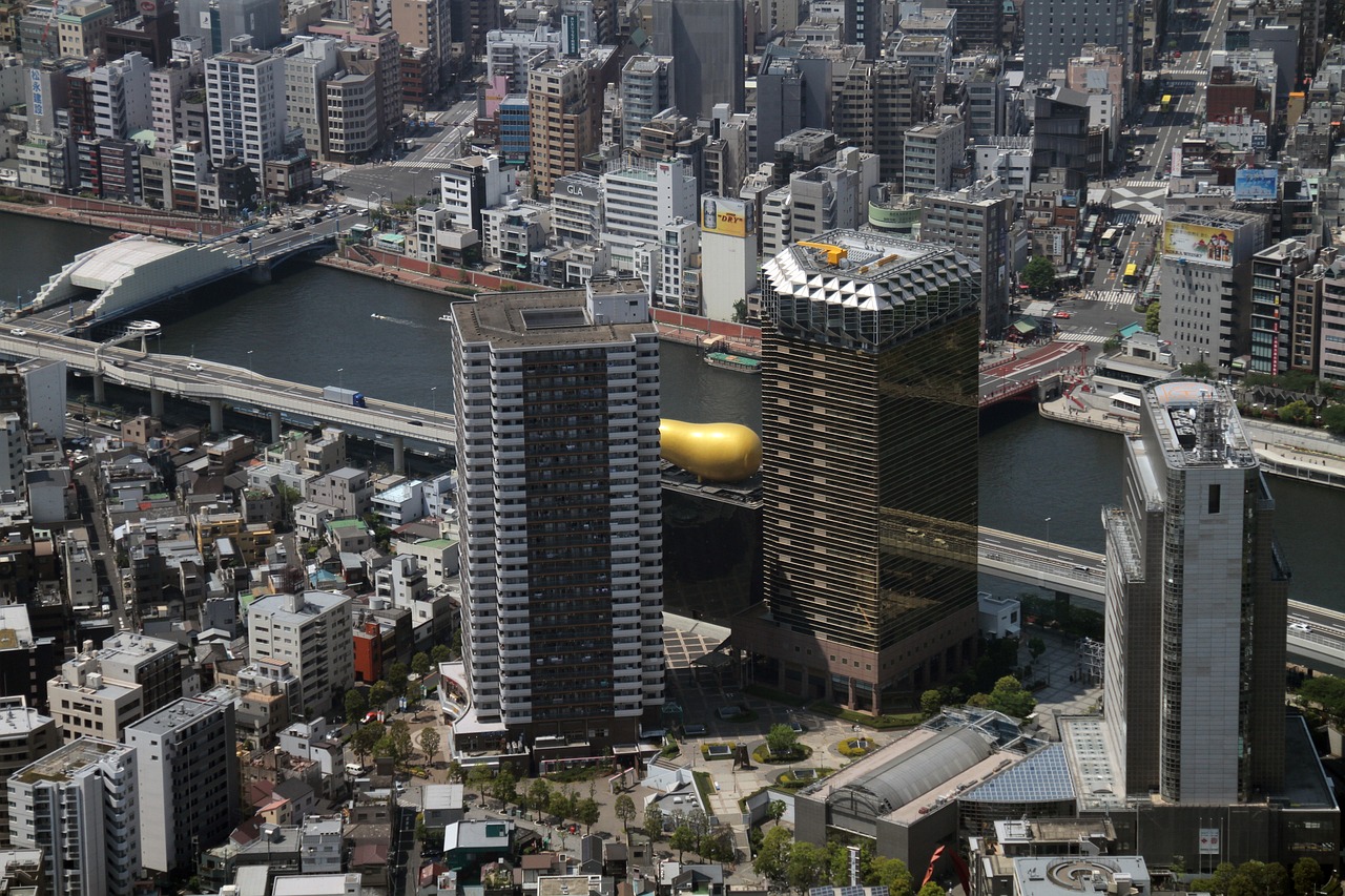 2024年11月 第61页