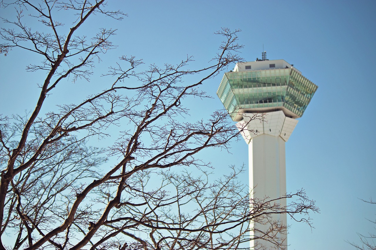 2024年11月 第59页
