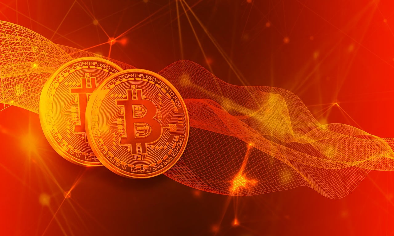 DP最新下载，数字时代的全新体验探索
