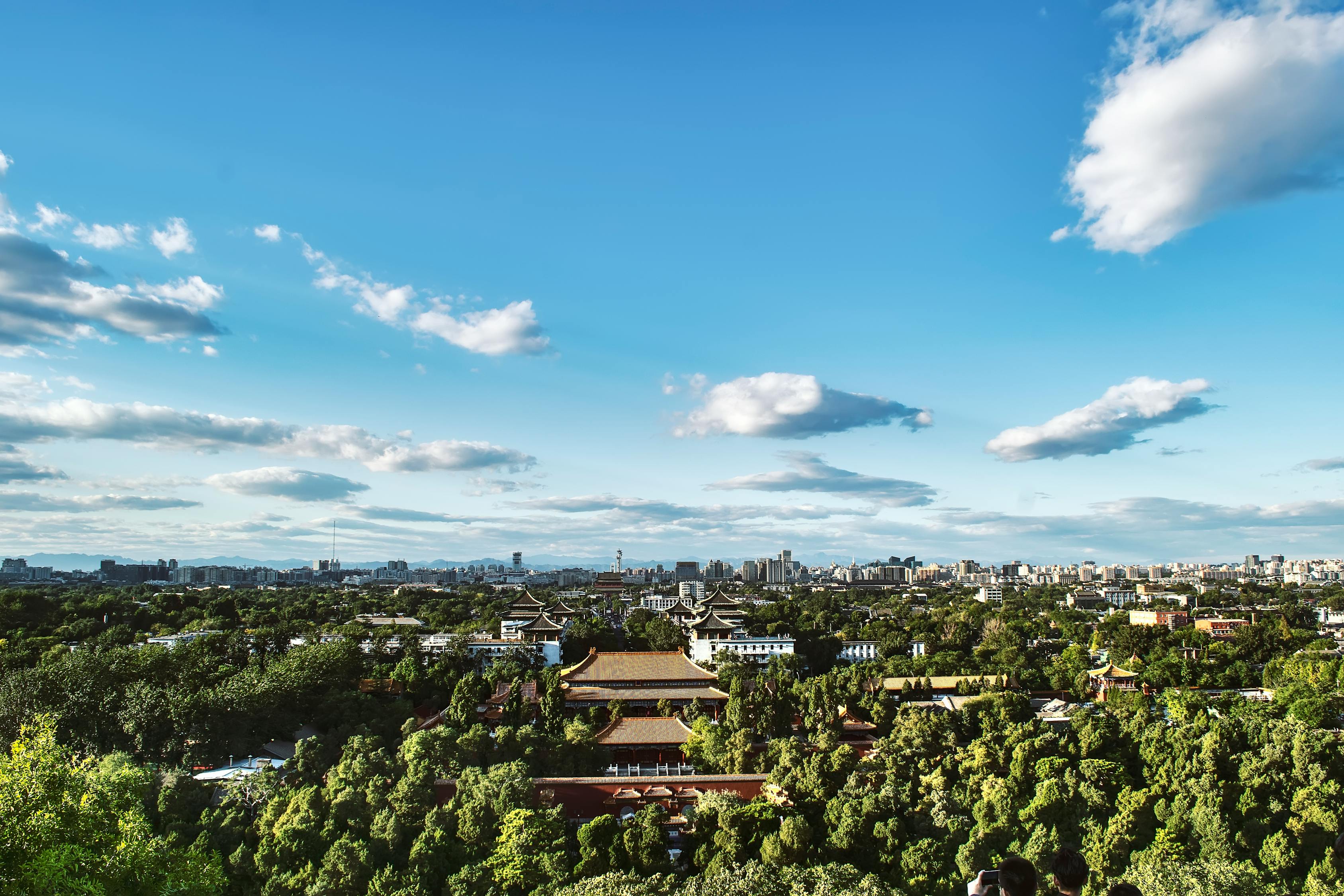 残喘 第35页