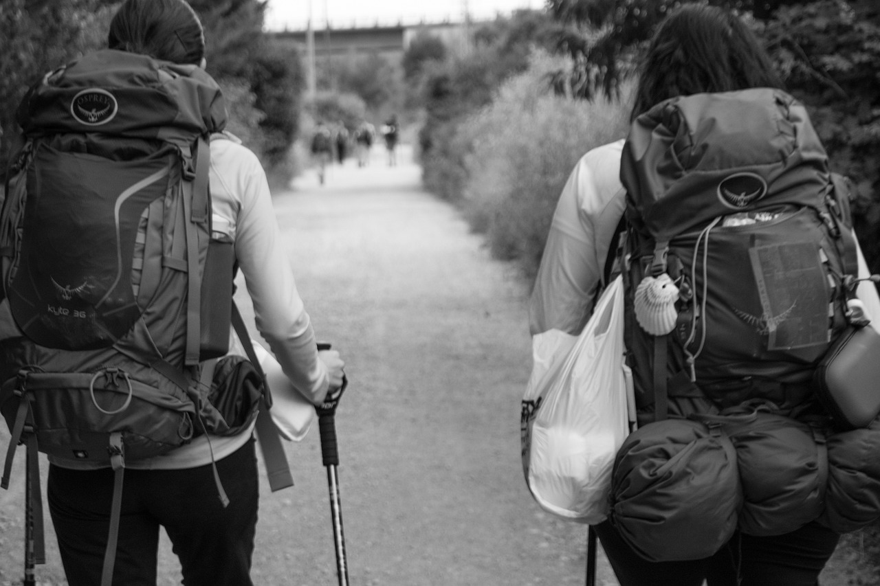 探索最新付费电影的精彩之旅