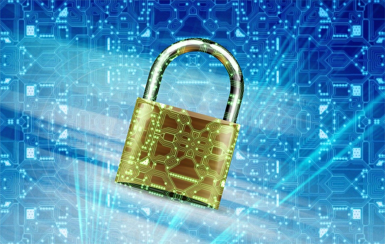 关于代码002312的最新消息全面解析与解读