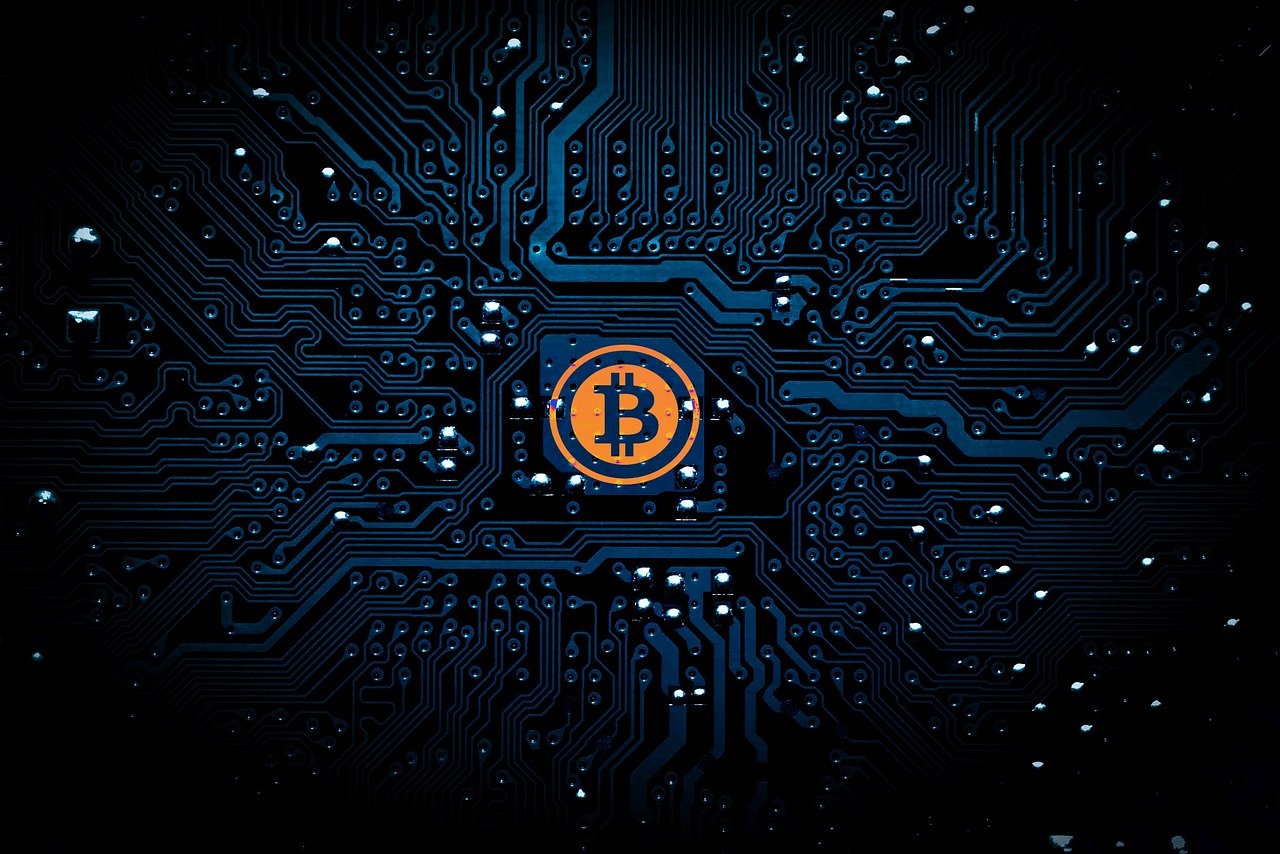 探索最新种子网站，2017年机遇与挑战一览