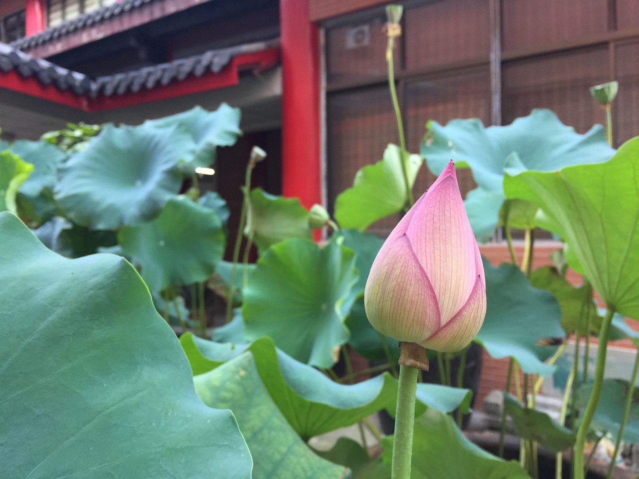 佛企最新招聘动态及其影响分析