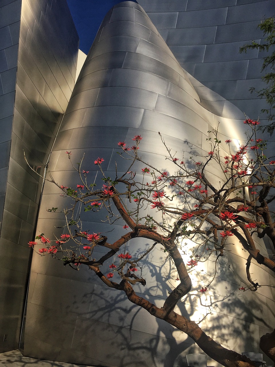 南通规划最新动态，引领未来的城市蓝图展望