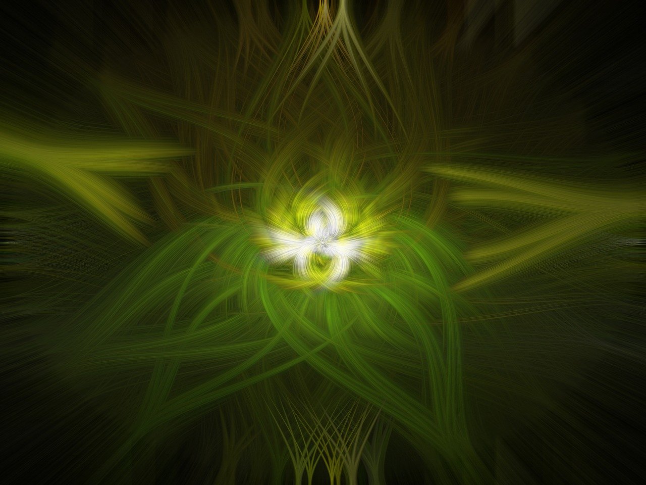 首页 第417页