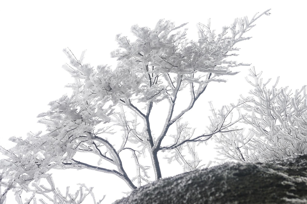 苏州画家排名揭晓，探寻江南水墨画的璀璨明珠大师们榜单出炉！