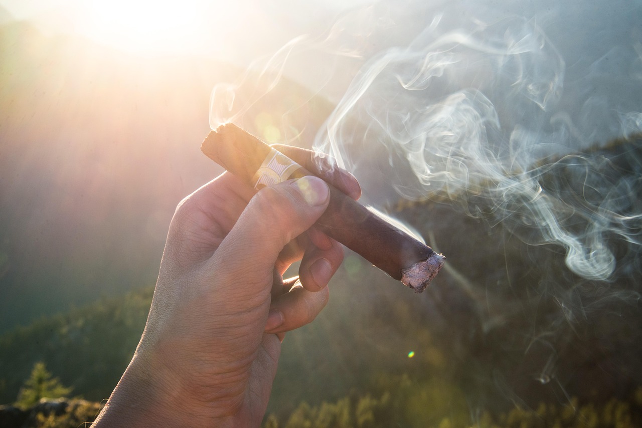 僵尸世界动漫，探索生与死的边界之谜