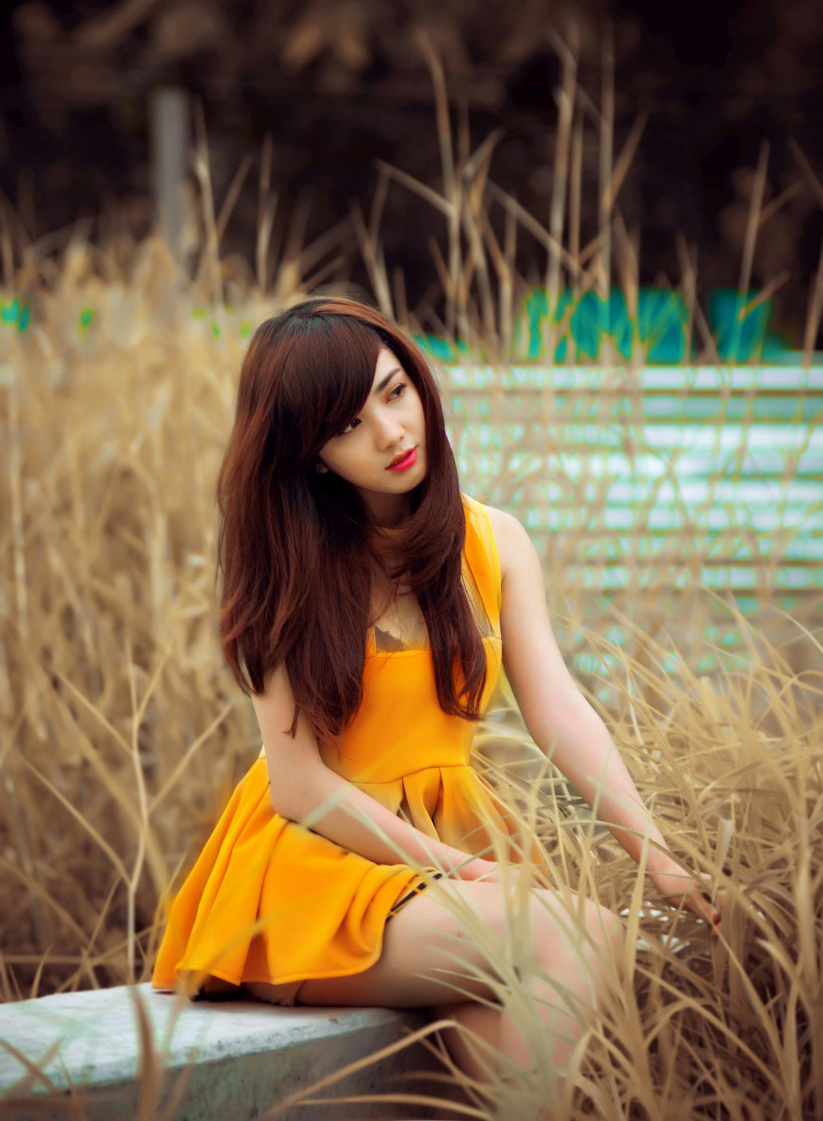 动漫少女大全，魅力无限的世界