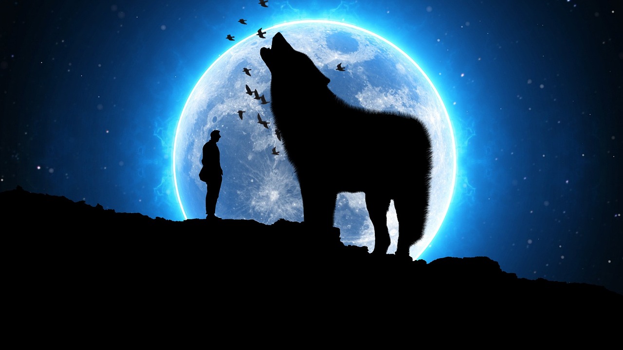 明星璀璨光芒，照亮世界的力量之星