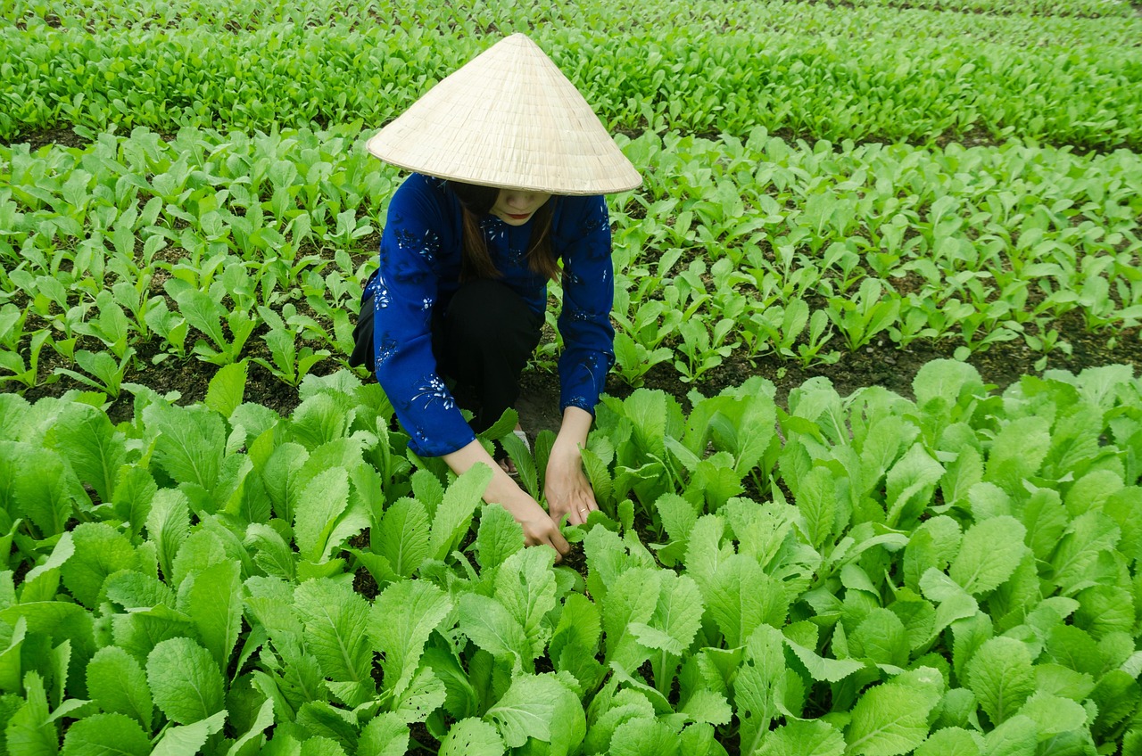 南烟 第4页