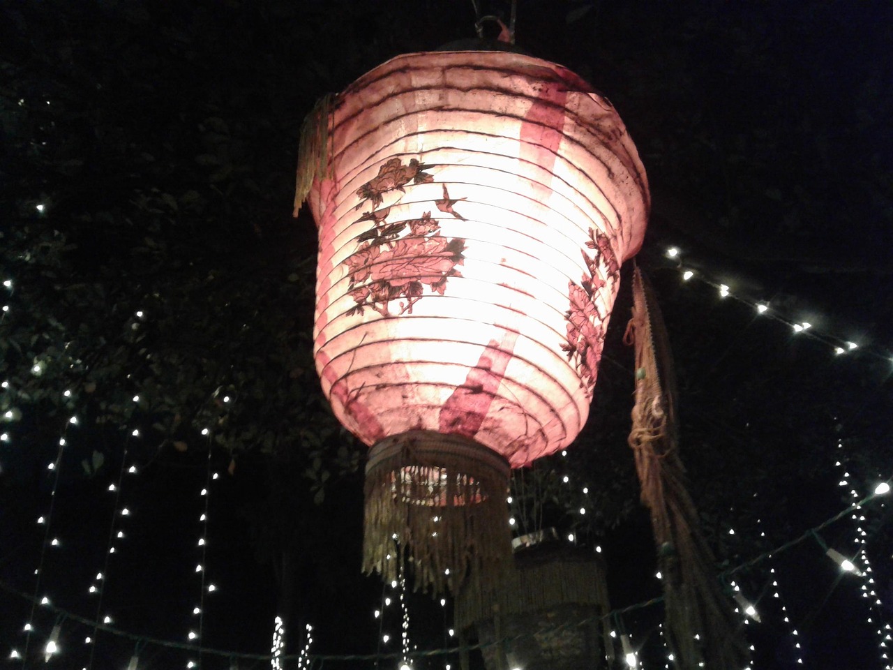 四月大师电影盛宴，视觉与心灵的交响之夜