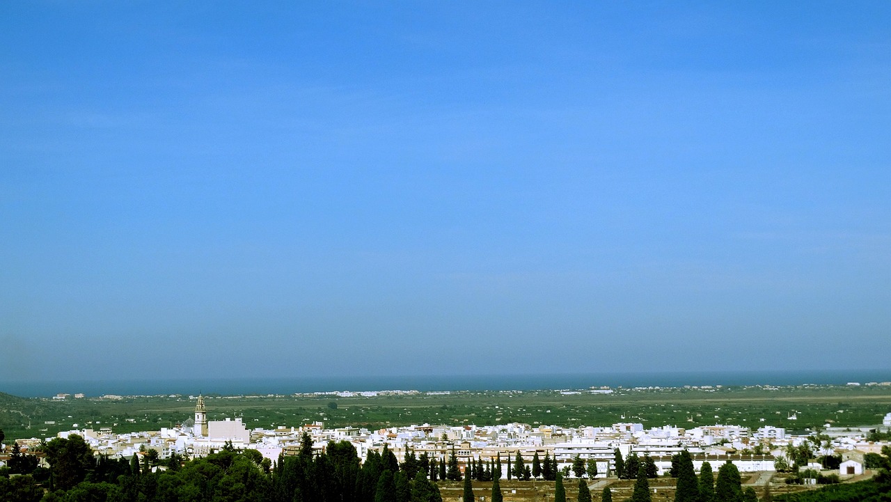 四月河南小麦市场动态分析，聚焦行情与发展趋势